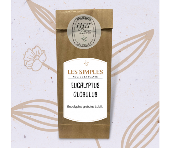 Eucalyptus globulus plante en vrac Caroline Gayet Hebroristerie Phyt et Sens
