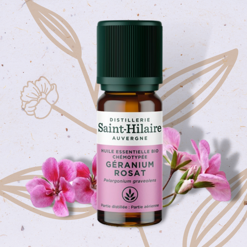 Géranium rosat en Huile essentielle