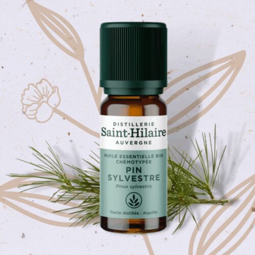 Pin sylvestre en Huile essentielle