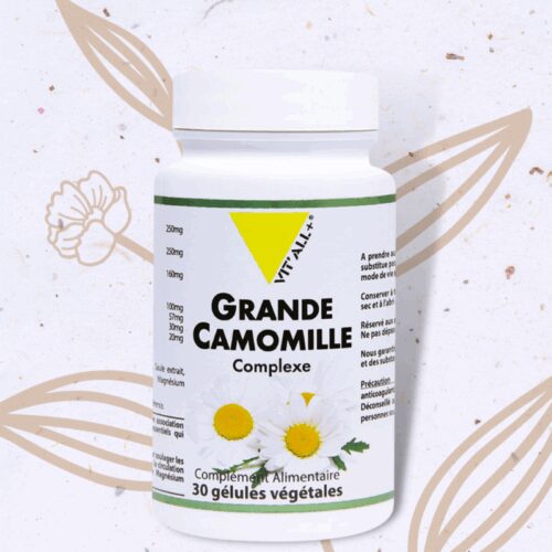 Grande Camomille (Partenelle) en Gélule