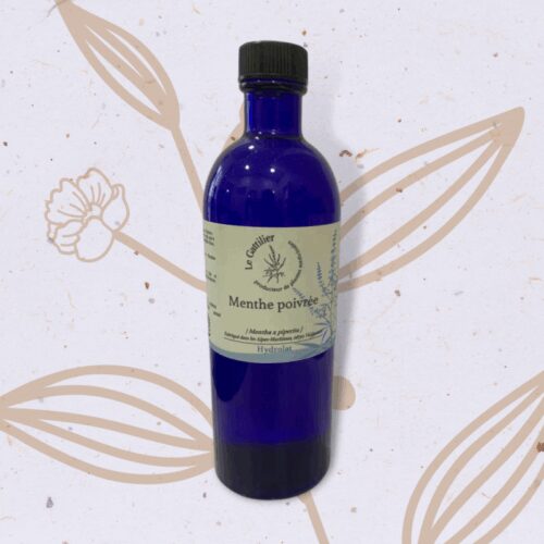 Menthe poivrée en Hydrolat