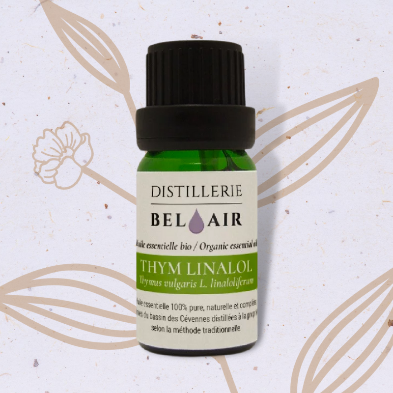 Thym à linalol en Huile essentielle