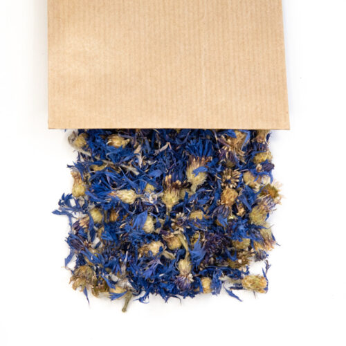 Bleuet en Fleur séchée
