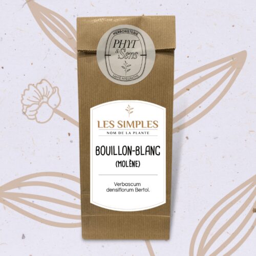 Bouillon blanc molène plante en vrac caroline gayet phyt et sens