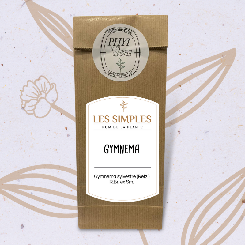 gymnema_plante_en_vrac_caroline_gayet_herboristerie_phyt_et_sens