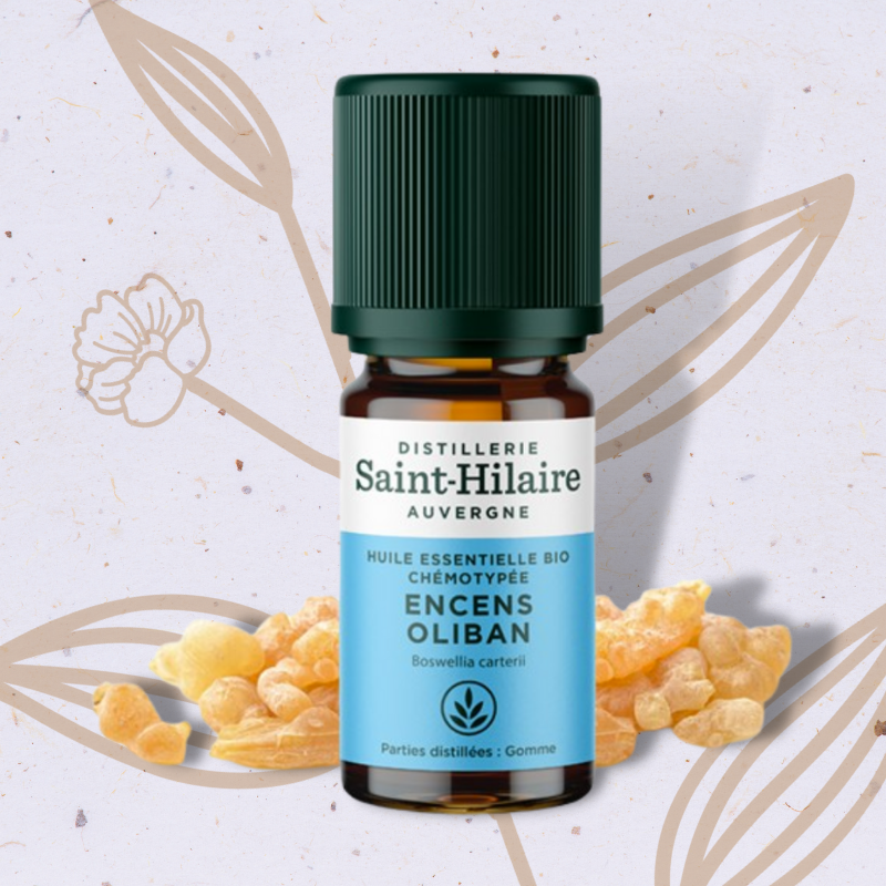 Encens Oliban en Huile essentielle