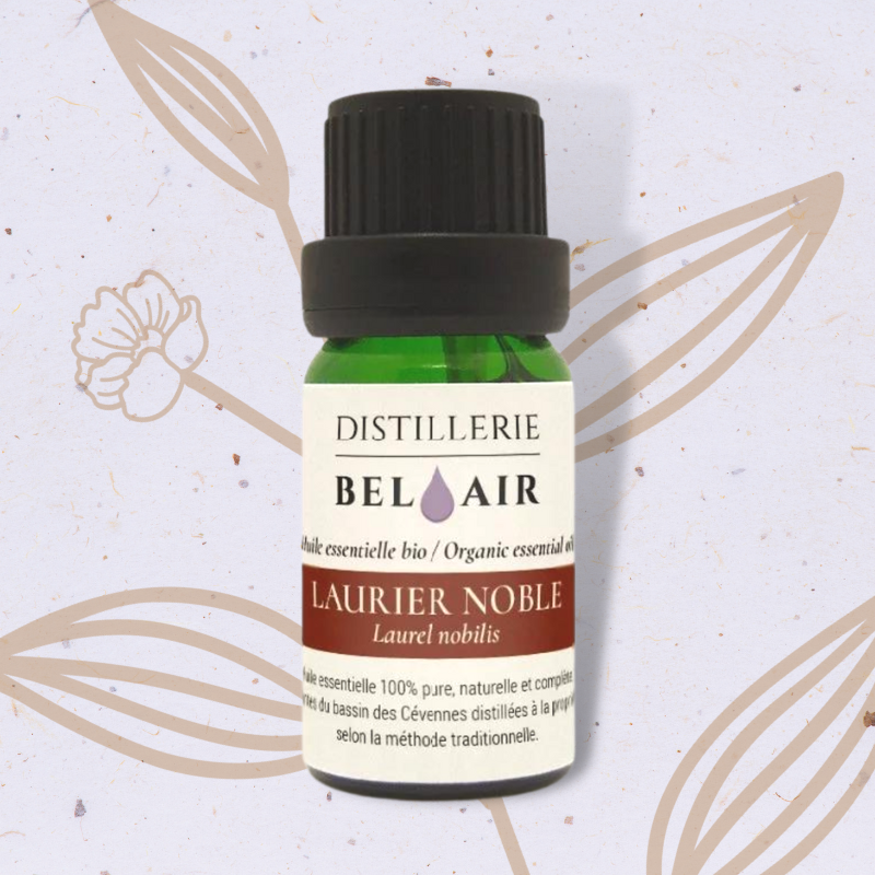 Laurier noble en Huile essentielle