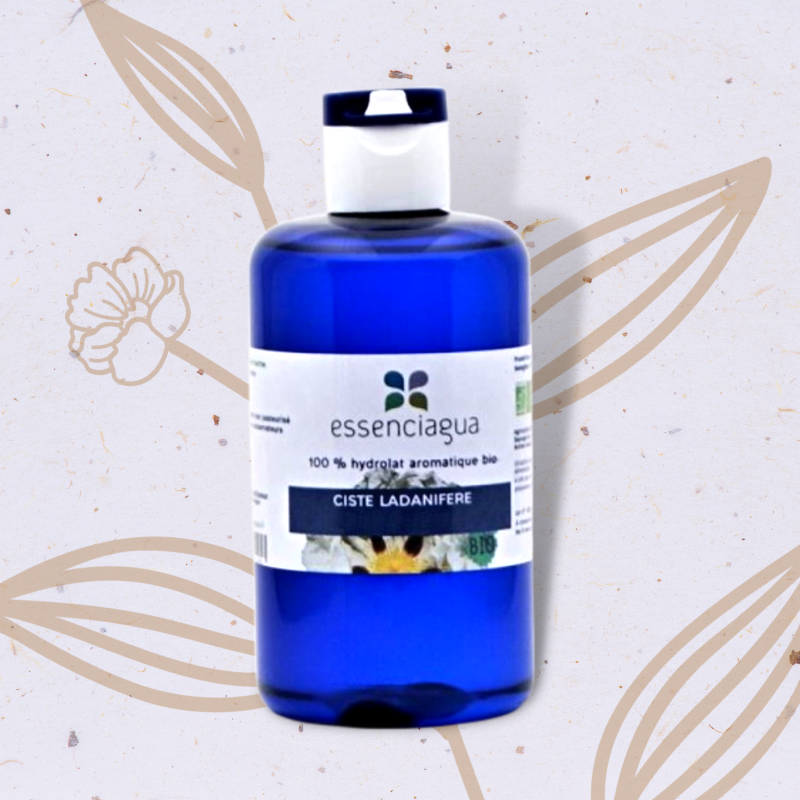 Ciste ladanifère en Hydrolat