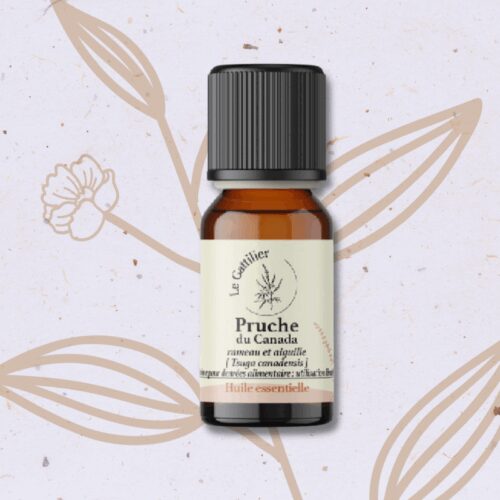 Pruche en Huile essentielle
