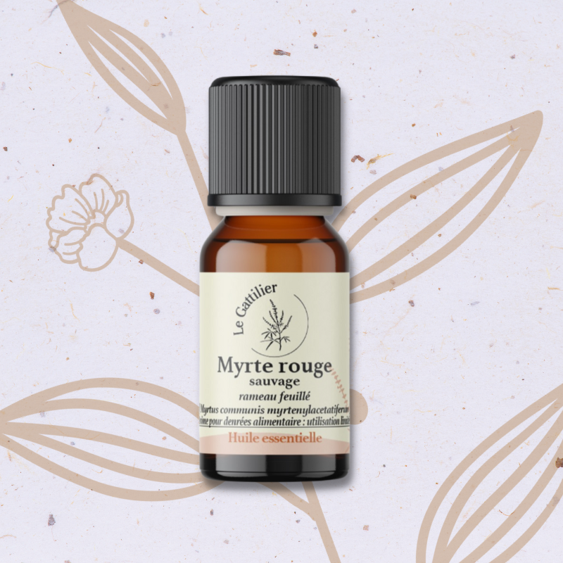 Myrte rouge en Huile essentielle