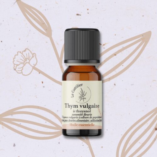 Thym à thujanol en Huile essentielle