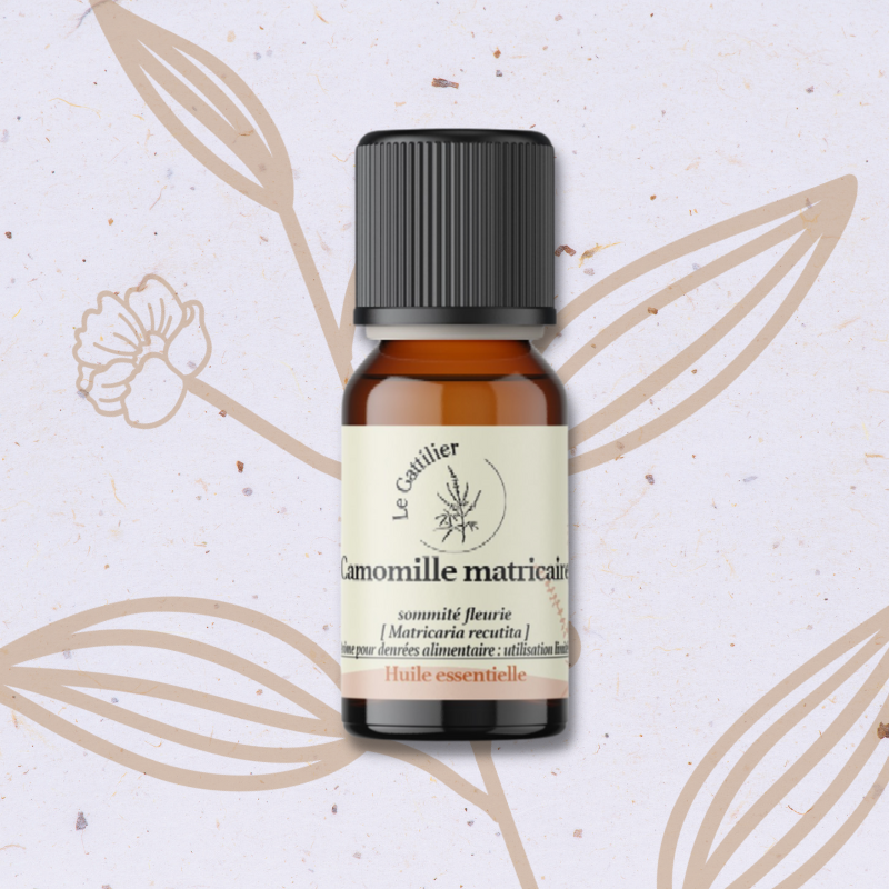 Camomille Matricaire en Huile essentielle
