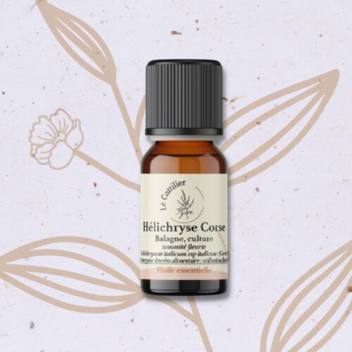 Hélichryse - Immortelle en Huile essentielle