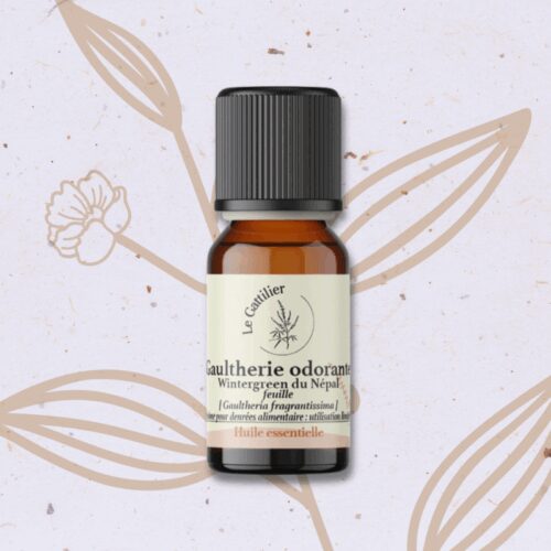 Gaulthérie odorante en Huile essentielle