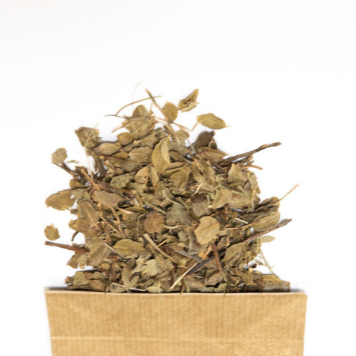 Myrtille en Feuille séchée bio