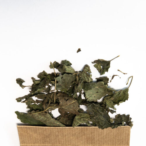 Mélisse en Feuille séchée bio