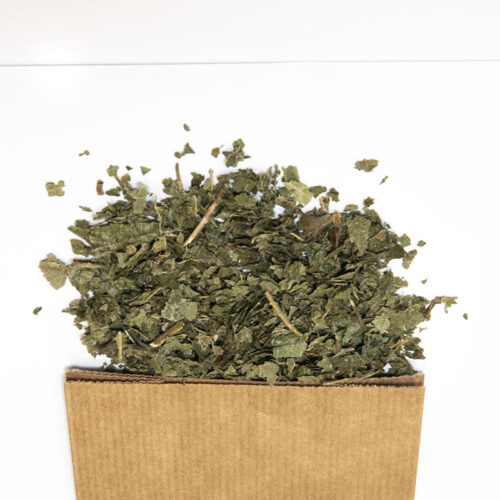 Ronce en Feuille séchée
