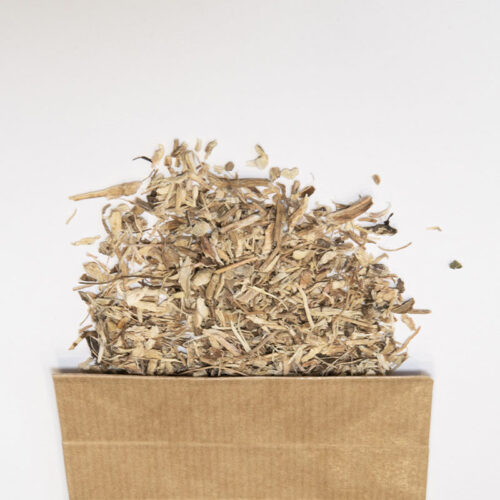 Echinacée pourpre racine bio