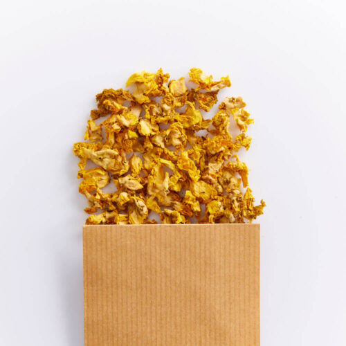 Bouillon-blanc (Molène) en Fleur séchée