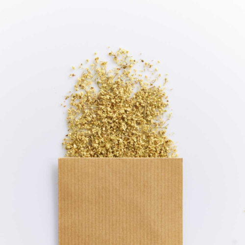 Sureau en Fleur séchée bio