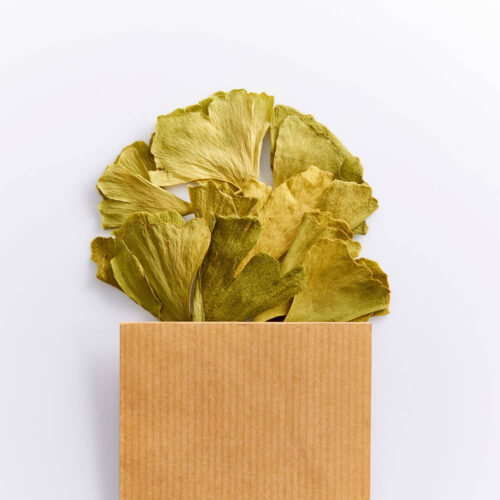 Ginkgo en Feuille séchée bio