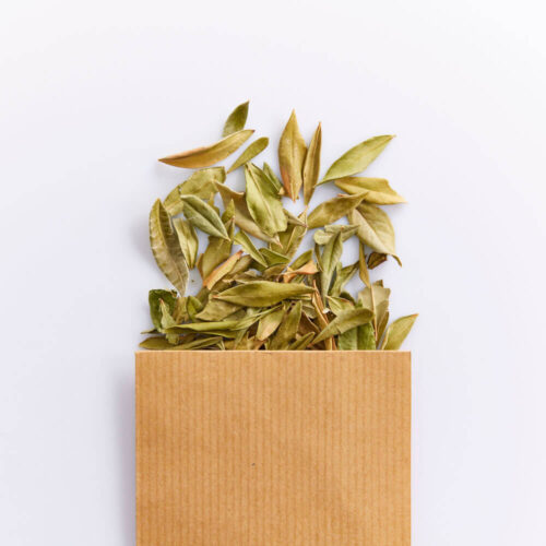 Myrte Vert en Feuille séchée