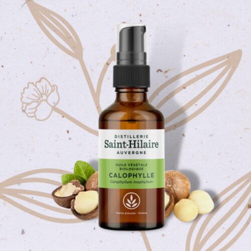 Huile de Calophylle