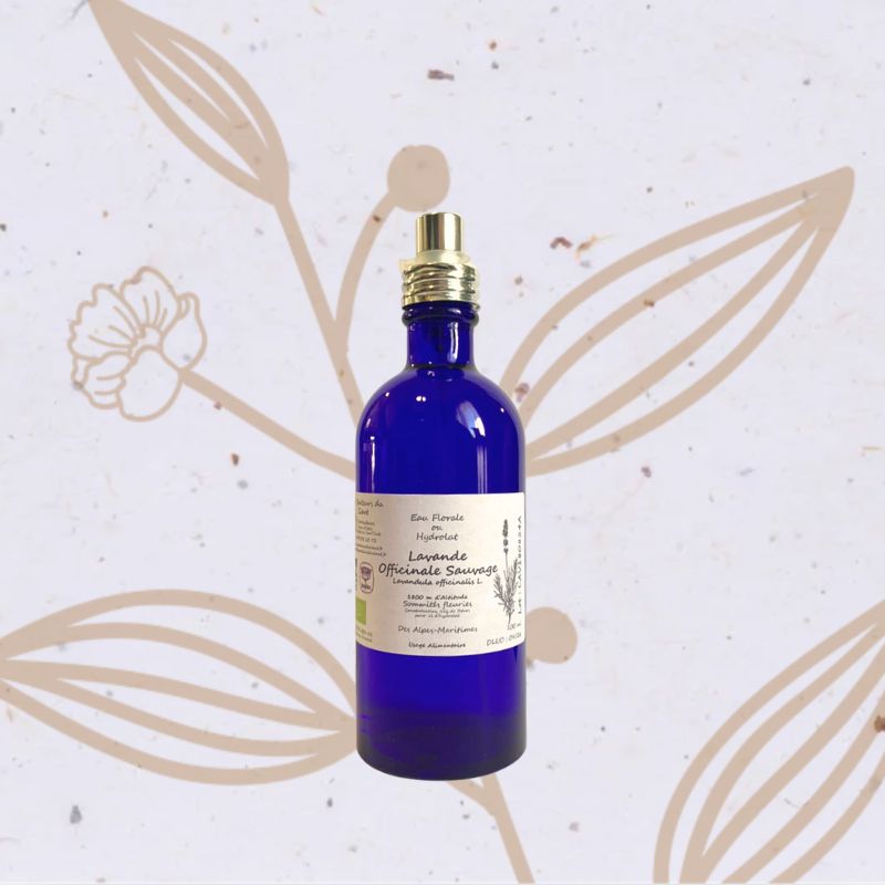 Lavande officinale en Eau florale (Senteurs du Claut)