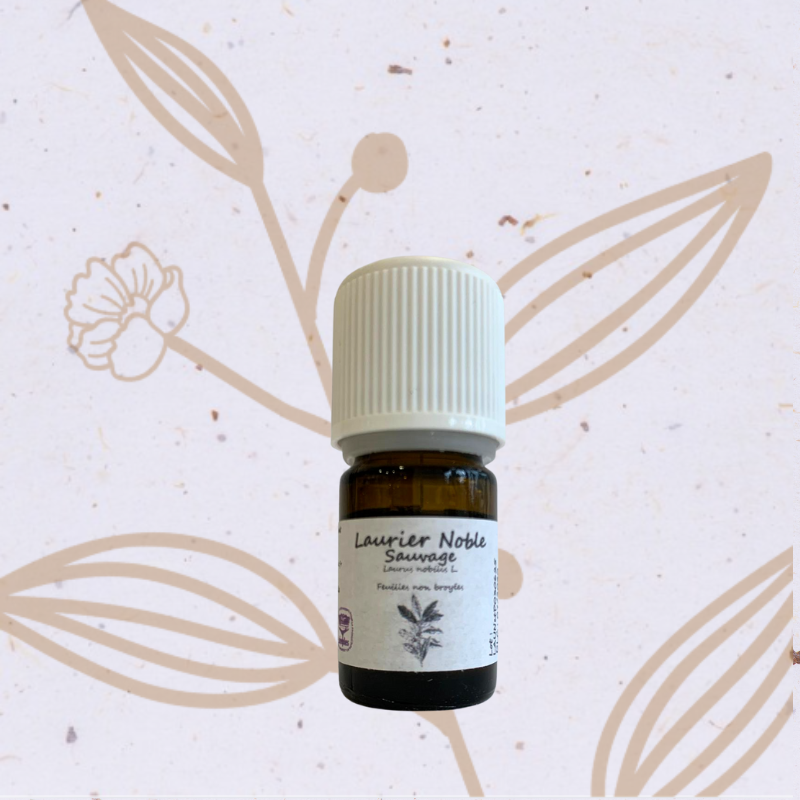 Laurier noble en Huile essentielle (Senteurs du Claut)