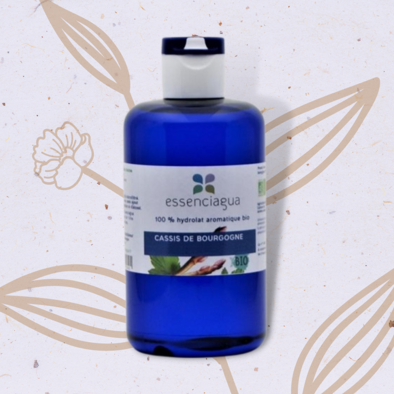 Cassis de Bourgogne en Hydrolat