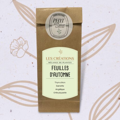 FEUILLES D'AUTOMNE par Caroline Gayet