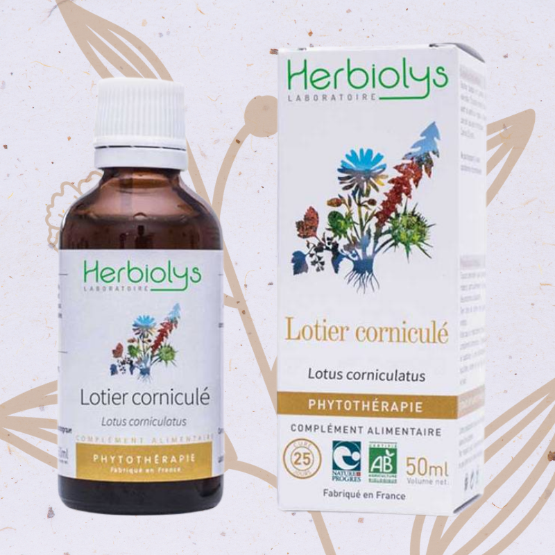 lotier_cornicule_phytotherapie_herbiolys_herboristerie_phytetsens_caroline_gayet