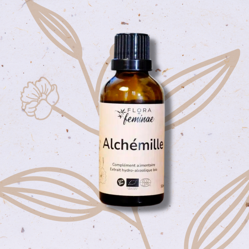 Alchémille en Teinture mère