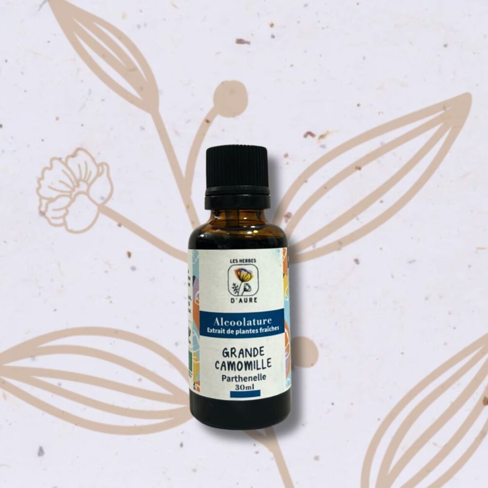 Grande camomille (Partenelle) en Teinture mère (Les herbes d'Aure)