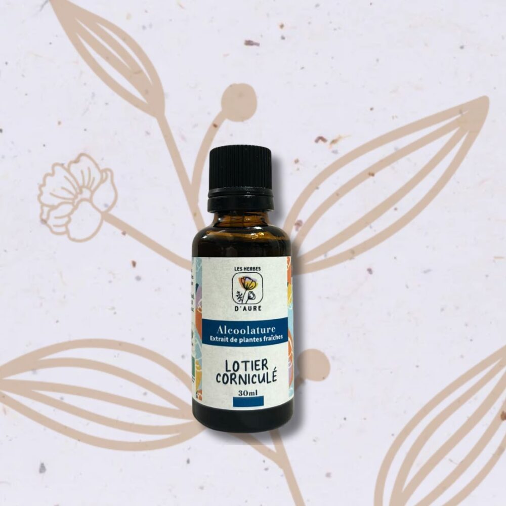 Lotier corniculé en Teinture mère (Les herbes d'Aure)