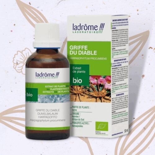 Griffe du diable (Harpagophytum) en Teinture mère