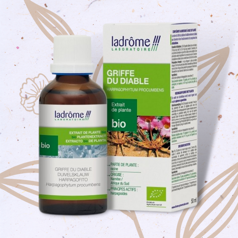 Griffe du diable (Harpagophytum) en Teinture mère
