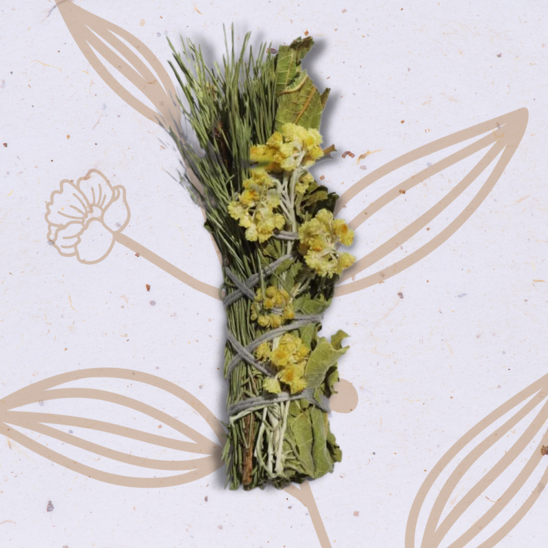 Le bouquet de l'ours