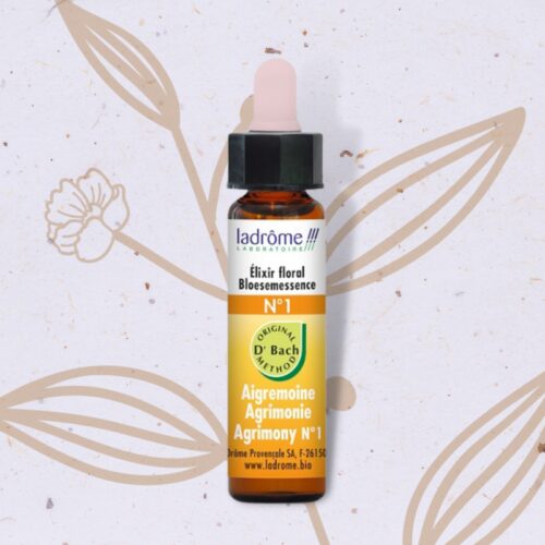 Aigremoine n°1 - Agrimony Fleur de Bach n°1