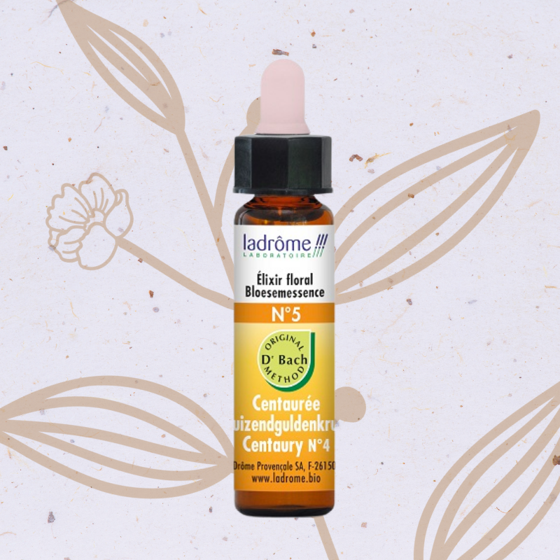 Centaurée n°5 - Centaury Fleur de Bach n°4