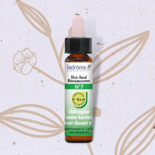 Châtaignier n°7 - Sweet chestnut Fleur de Bach n°30
