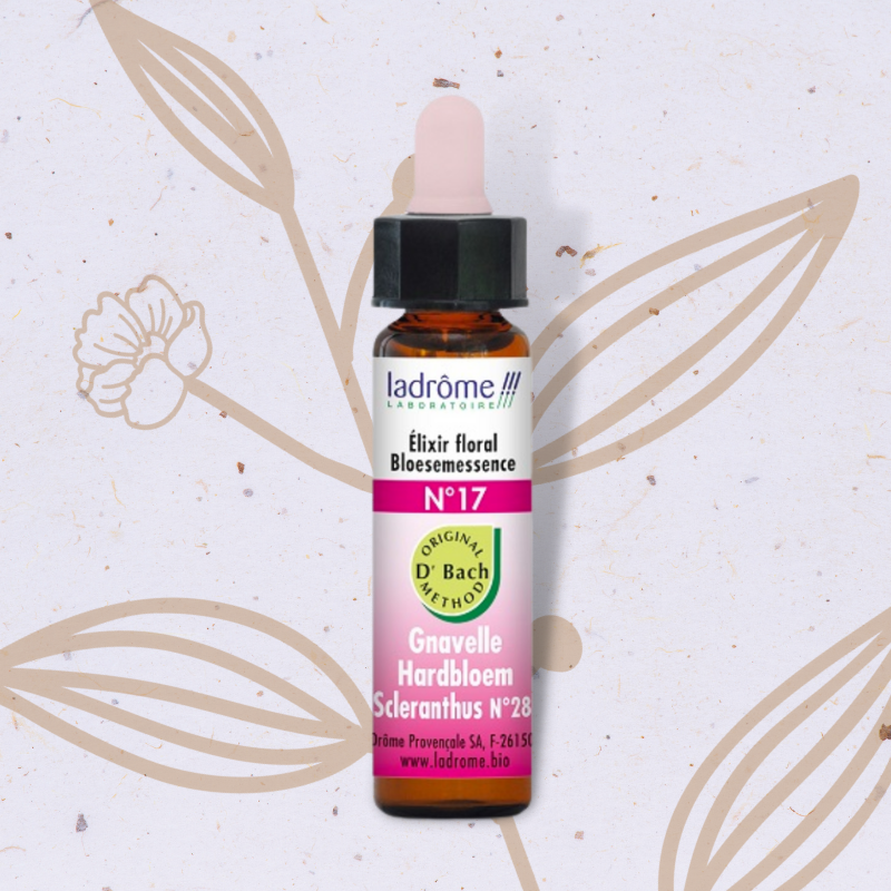 Gnavelle n°17 - Scleranthus Fleur de Bach n°28