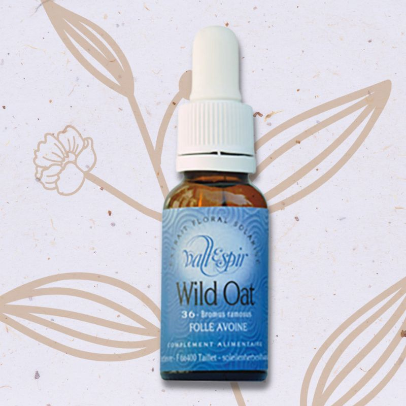 Folle avoine n°15 - Wild oat Fleur de Bach n°36
