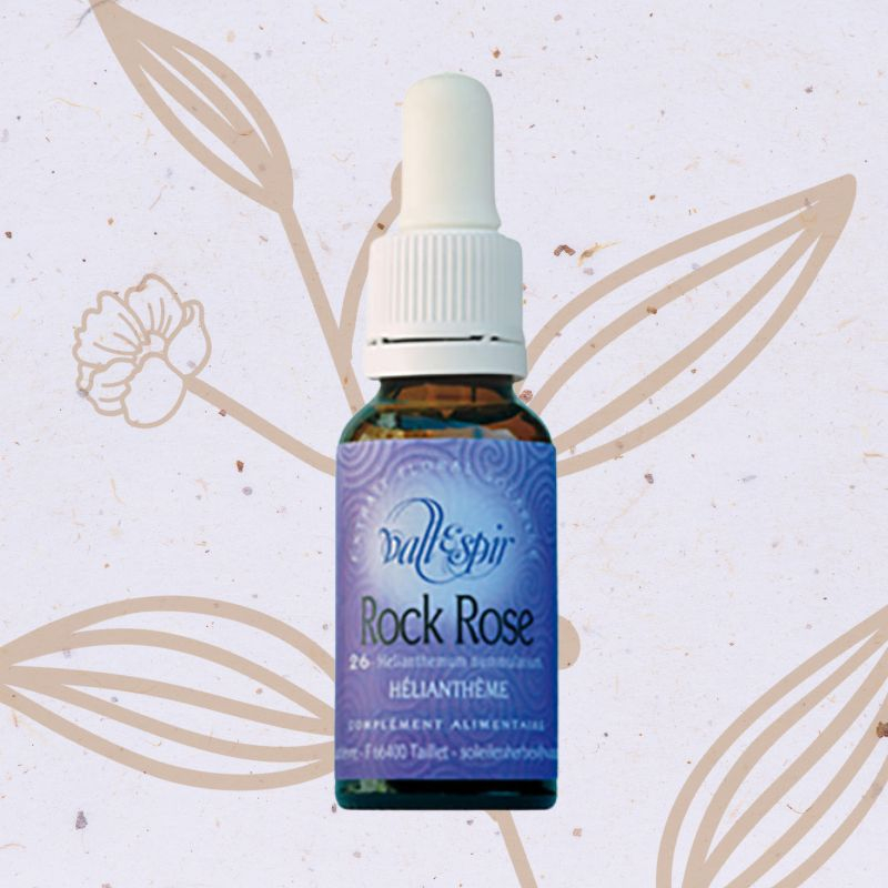 Hélianthème n°18 - Rock Rose Fleur de Bach n°26