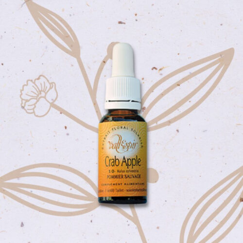 Pommier sauvage n°33 - Crab apple Fleur de Bach n°10