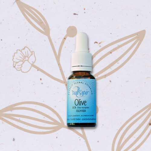 Olivier n°29 - Olive Fleur de Bach n°23
