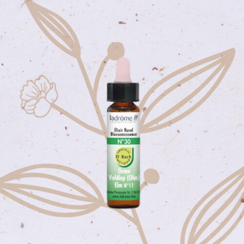 Orme n°30 - Elm Fleur de Bach n°11