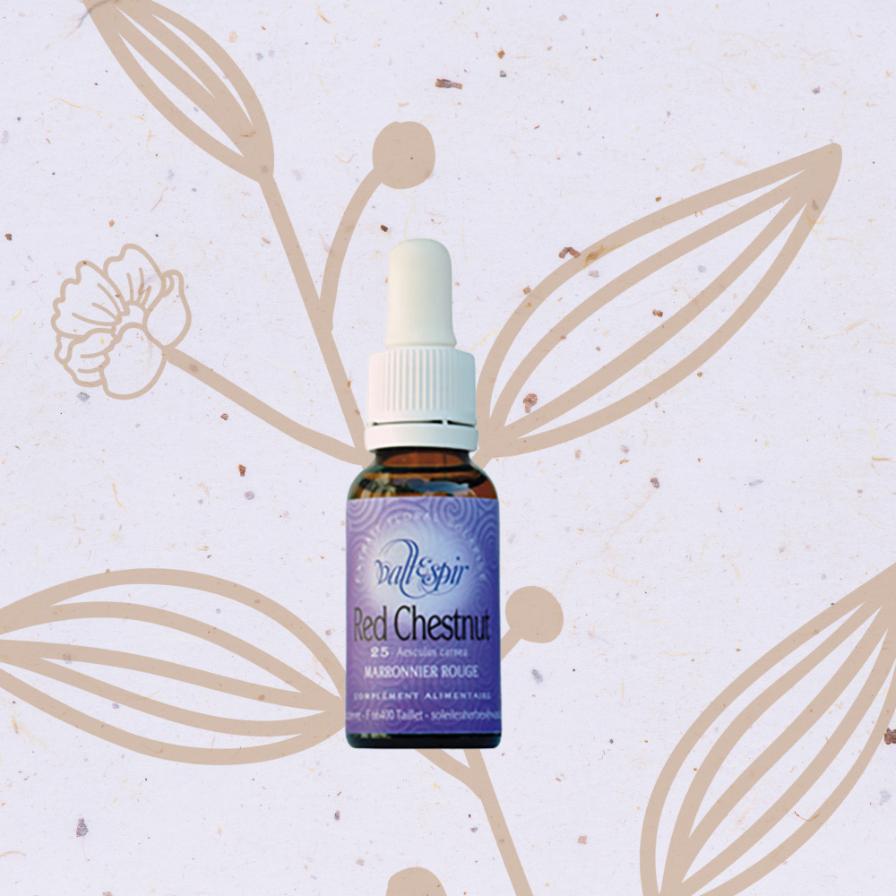 Red Chestnut Fleur de Bach n°25 (Vallespir)