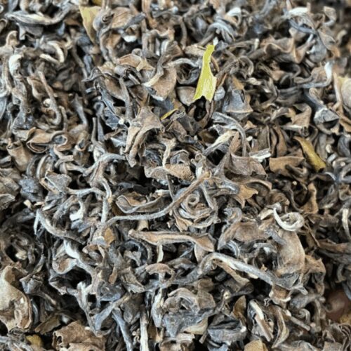 Thé Oolong