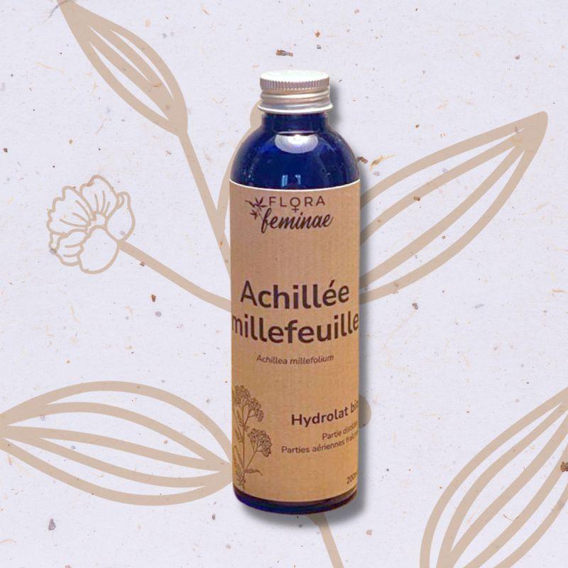 Achillée millefeuille en Hydrolat